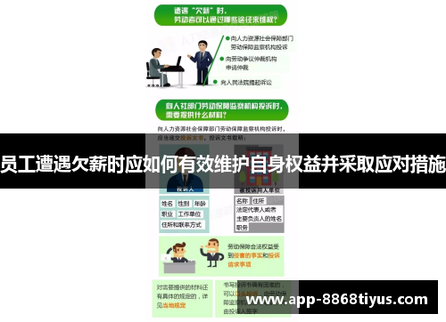员工遭遇欠薪时应如何有效维护自身权益并采取应对措施