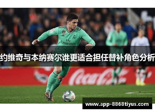 约维奇与本纳赛尔谁更适合担任替补角色分析