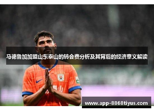 马德鲁加加盟山东泰山的转会费分析及其背后的经济意义解读