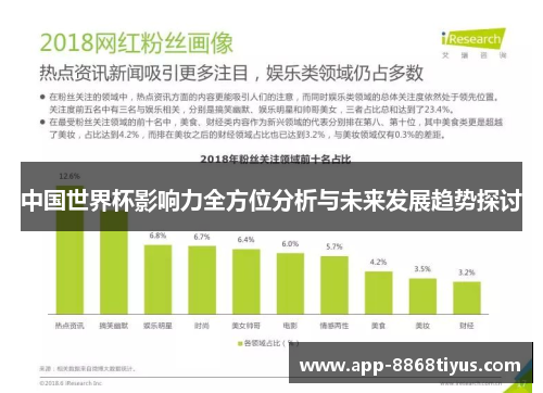 中国世界杯影响力全方位分析与未来发展趋势探讨