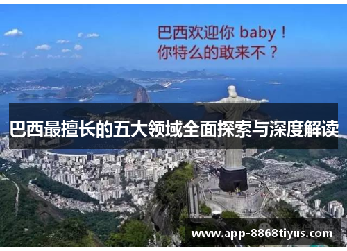 巴西最擅长的五大领域全面探索与深度解读