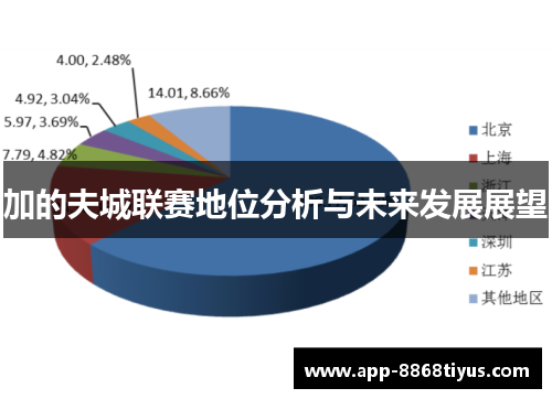 加的夫城联赛地位分析与未来发展展望 加的夫城联赛地位分析与未来发展展望