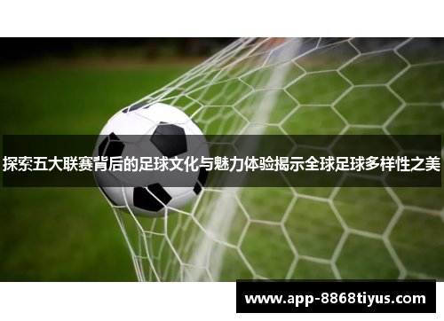 探索五大联赛背后的足球文化与魅力体验揭示全球足球多样性之美